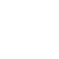 leaf and justice icon