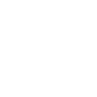 ballot box icon