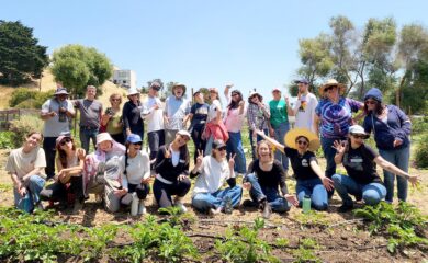 New Year’s Greetings from Shute, Mihaly & Weinberger